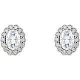14K White 7x5 Oval Halo-Style Moissanite  Earrings (Colorless DEF)